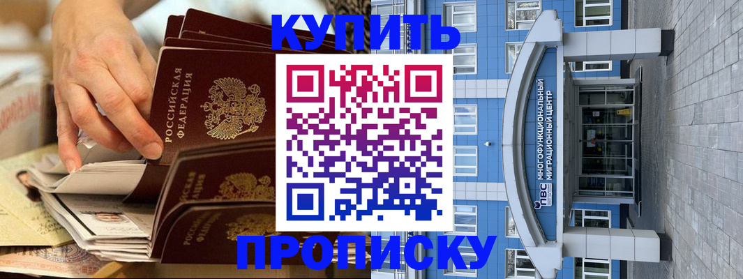 прописка гарантия в Коряжме